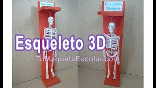 Maqueta del Esqueleto Humano 3d [upl. by Ennovyahs]