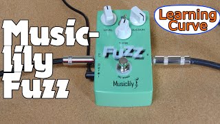 MusicLily Fuzz [upl. by Adnac]