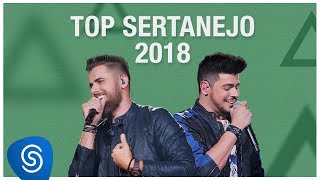 Top Lançamentos Sertanejo 2019  Os Melhores Clipes [upl. by Polad]