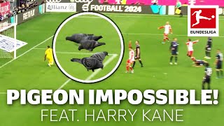 Does Agent Pigeon Help Harry Kane Score [upl. by Mattias804]