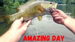 Sight Fishing River Smallmouth Hiwassee River Wading [upl. by Paxon]