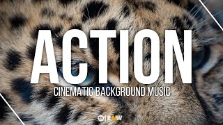 Action Film Music  Epic Fesliyan Studios Mix [upl. by Lichtenfeld]