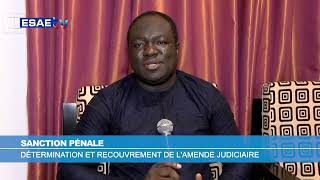 DÉTERMINATION ET RECOUVREMENT DE LAMENDE JUDICIAIRE [upl. by Dunning751]