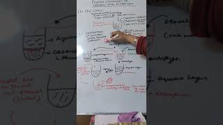 Phenol chloroform DNA extraction method [upl. by Nilo]