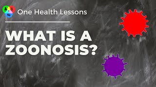 Watch Lesson What is a zoonosis [upl. by Eiduam202]