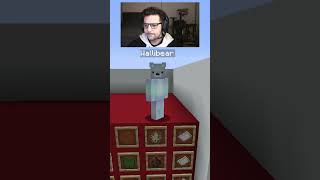 WALLIBEAR TAKES ON MOB ARENA gaming ⁠youtube funny minecraft memes tiktok shorts ytshorts [upl. by Baun722]