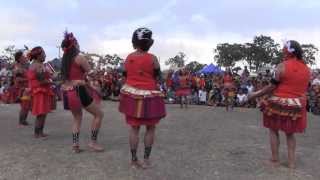 PNG Independence Day Brisbane 2013 [upl. by Rimma309]