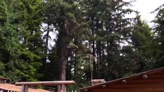 Fort Clatsop Oregon [upl. by Huntington]