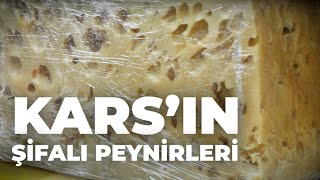 KARSIN ŞİFALI PEYNİRLERİ [upl. by Nomad]