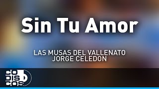 Sin Tu Amor Las Musas Del Vallenato Y Jorge Celedón  Audio [upl. by Parcel139]