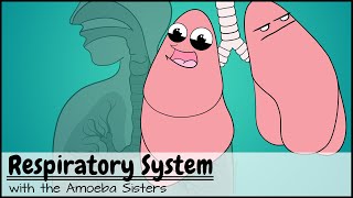 Respiratory System [upl. by Otto751]