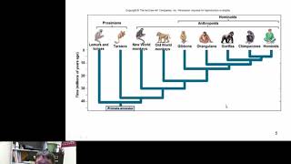 Primate Evolution [upl. by Anyrtak306]