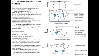 Identification Phénotypique Des Bactéries [upl. by Oni]