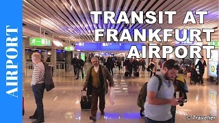 TRANSIT WALK AT FRANKFURT Airport FRA Terminal 1  Connection Flight Transfer Arriving amp Departing [upl. by Staci414]