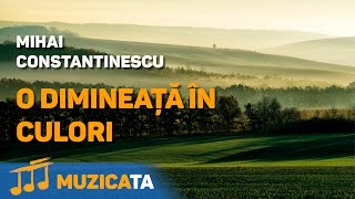 O dimineata in culori  Mihai Constantinescu [upl. by Negaet335]