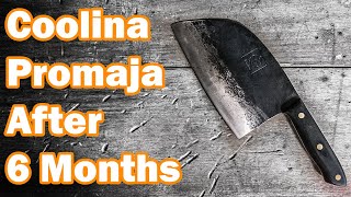 TRUTH of Serbian Chef Knife After 6 Months [upl. by Itnuahsa387]