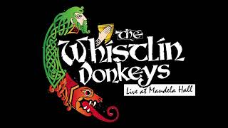 The Whistlin Donkeys  Travelin Soldier  LIVE at Mandela Hall [upl. by Arotal]