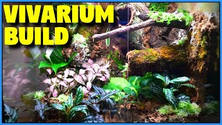 Bioactive Vivarium Build  Tropical Vivarium Setup StepByStep [upl. by Shelba]