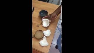 Tuto  Ouvrir une noix de coco facilement [upl. by Salomi]