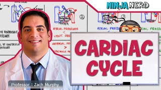 Cardiovascular  Cardiac Cycle [upl. by Beard878]