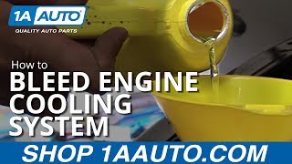 How to Properly Bleed Engine Cooling System by yourself [upl. by Atiuqram835]