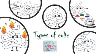 Types of colic in horses  Vet students [upl. by Hessney]