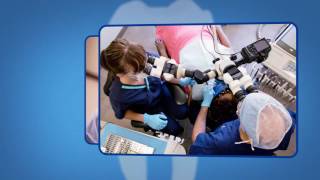 Endodontic Retreatment Explained [upl. by Sana]