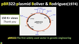 pBR322 Gene Cloning Vector Explained  Biotechnology biologyexams4u [upl. by Masao]