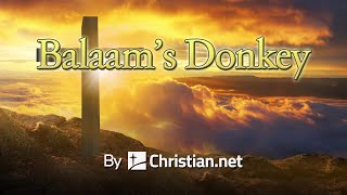 Numbers 2221 41 Balaam’s Donkey  Bible Stories [upl. by Olive]