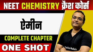 AMINES in 1 Shot  हिन्दी माध्यम  Complete Chapter  ऐमीन [upl. by Aihsened]