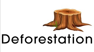 Deforestation Educational Environmental Video [upl. by Leonardo]