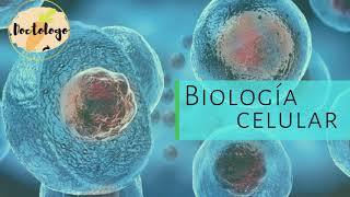 BIOLOGÍA CELULAR Y MOLECULAR  ¿QUE ES LA CÉLULA DOCTOLOGO🥕 [upl. by Arobed]