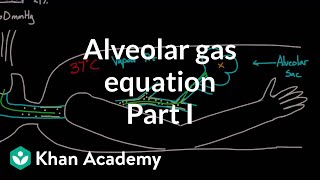 Alveolar gas equation  part 1  Respiratory system physiology  NCLEXRN  Khan Academy [upl. by Aicelaf]