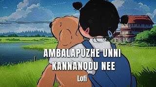 AMBALAPUZHE UNNI KANNANODU NEE  LOFI [upl. by Ayirp609]