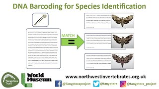 DNA Barcoding for Species Identification [upl. by Kinchen186]