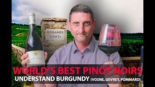 Finest Burgundy Wines  Your Guide to Top Pinot Noirs  VosneRomanée Pommard GevreyChambertin [upl. by Sivra]